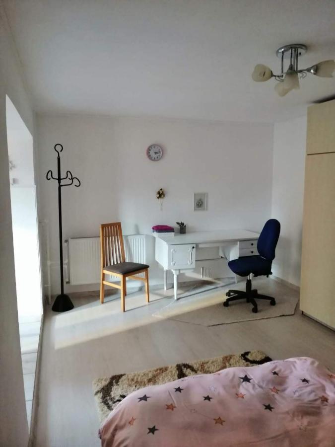 Moss'S Economy Apartment Timişoara Exteriör bild